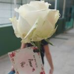 Da violência à paz nas escolas: é preciso cuidar do clima!