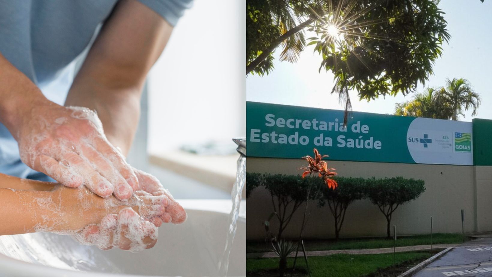 Entenda o é que rotavírus, principal responsável por surto de diarreia aguda em Goiás