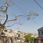 Jovem de 20 anos é assassinado no portão de casa em Venda Nova, em BH