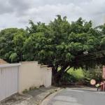 Homem é baleado na cabeça no bairro Santa Tereza, em BH
