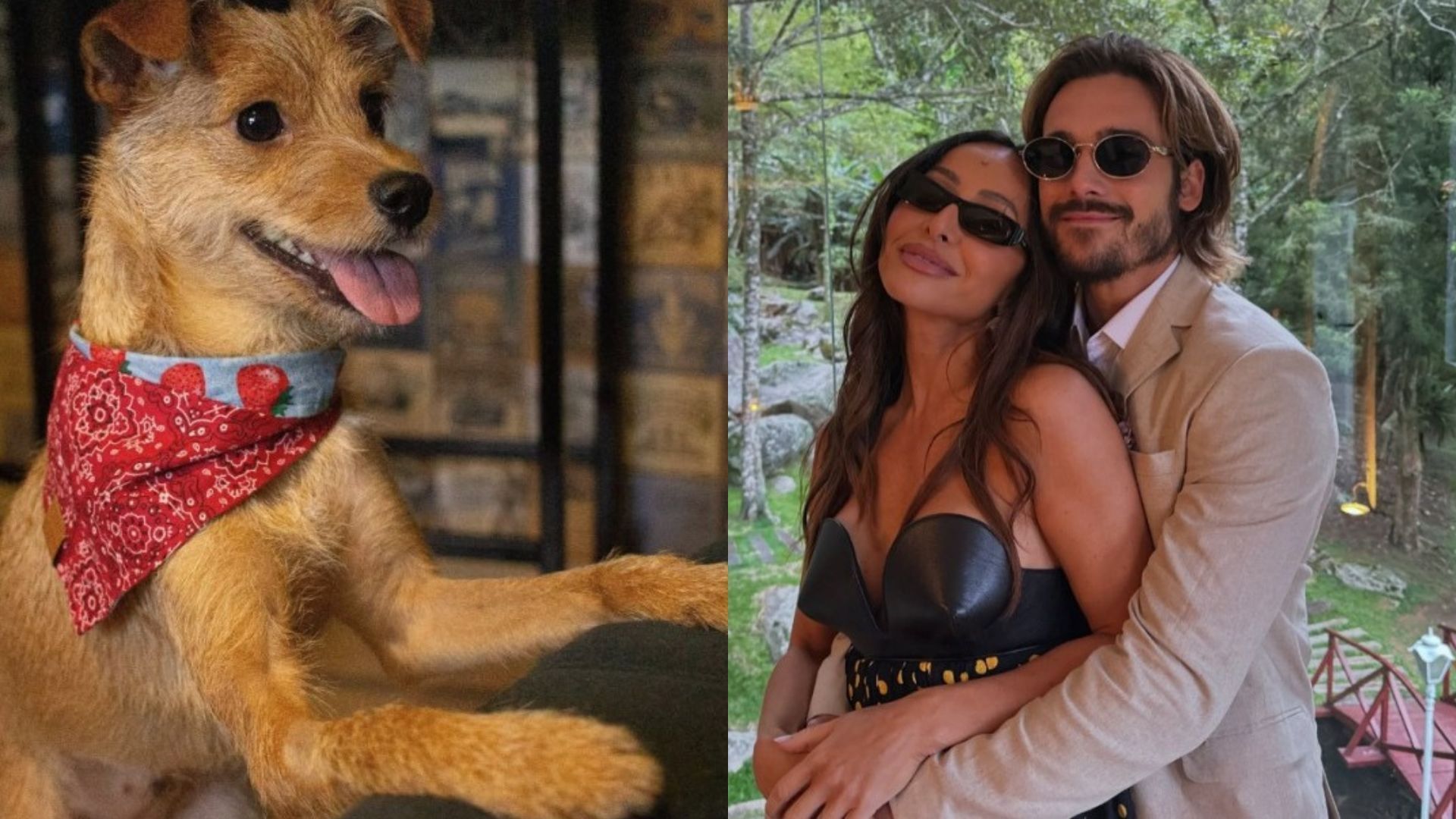 Vídeo: Sabrina Sato e Nicolas Prattes adotam cachorro da raça 'fiapo de manga'