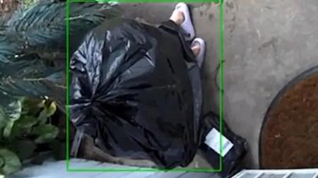 Foto mostra ladrão fingindo ser saco de lixo para furtar encomenda nos Estados Unidos