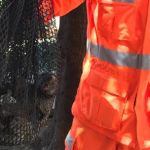 Vídeo: bombeiros resgatam macaco sagui após vendaval em Januária, no Norte de Minas    