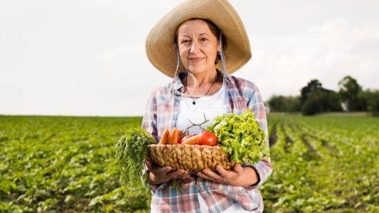 Saiba o que faz um alimento orgânico