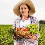 Saiba como identificar se um alimento é orgânico