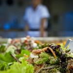 Conheça cinco mitos e verdades sobre a alimentação vegana e tire suas dúvidas