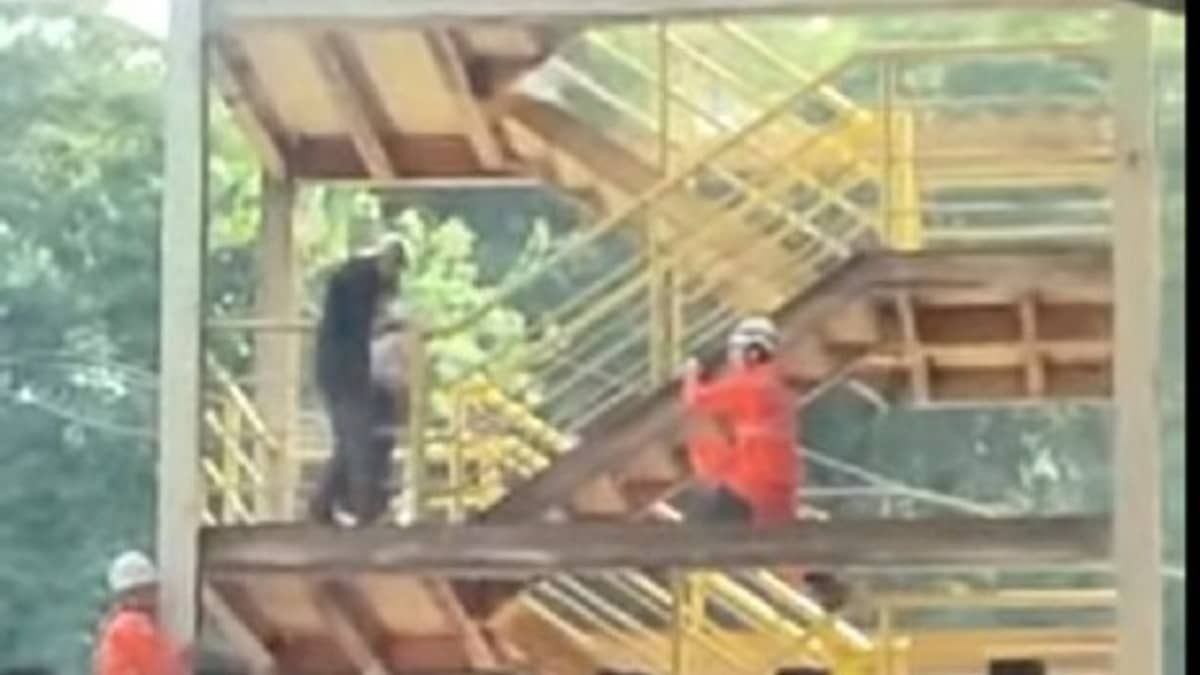 Vídeo: Bombeiros de Ipatinga salvam homem que tentava suicídio 