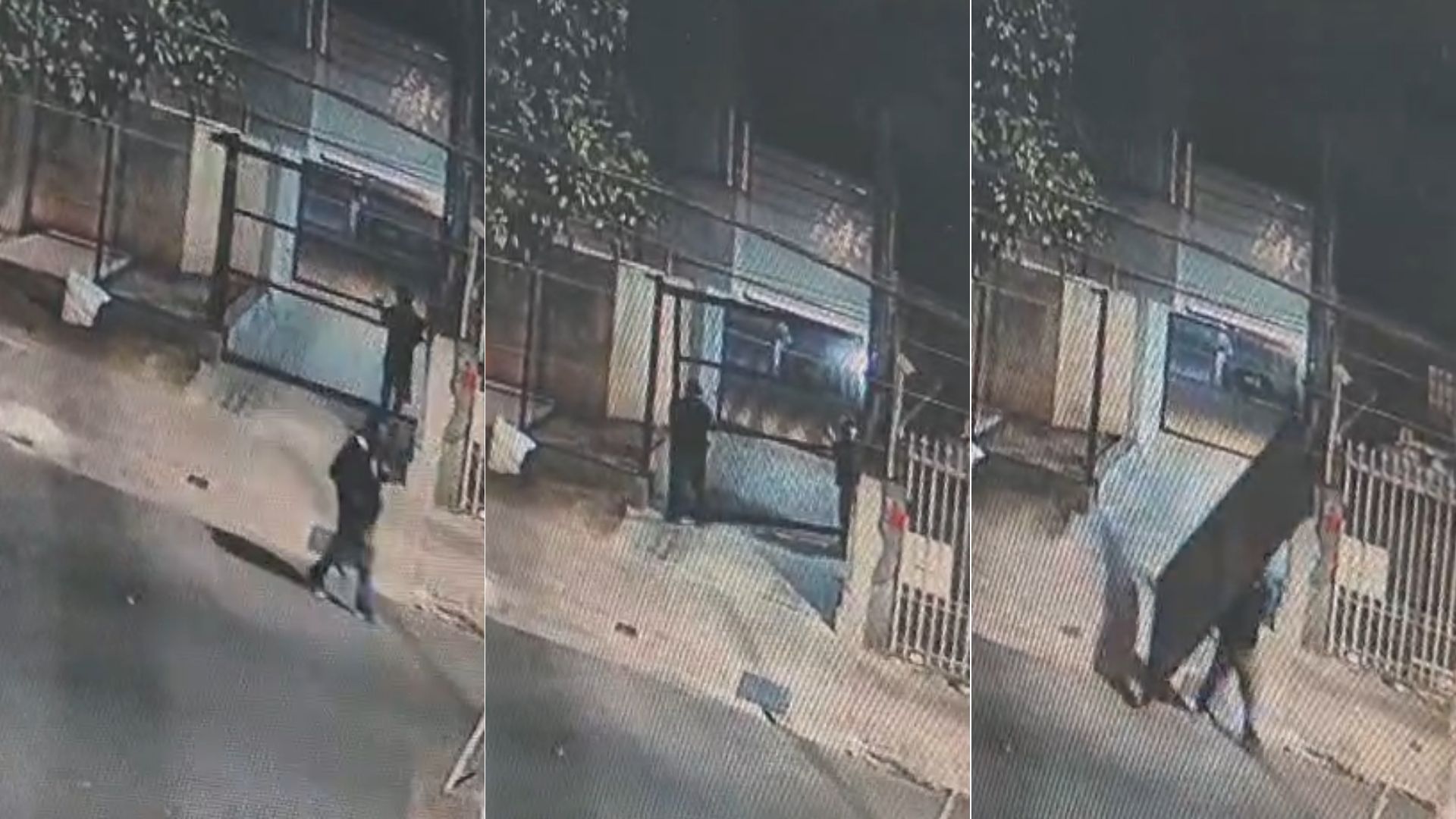 Dupla furta portão de garagem em prédio no Santo Antônio, em BH; veja vídeo