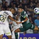Santos 0 x 0 Palmeiras: veja melhores momentos do jogo pelo Brasileiro