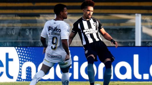 Santos 2 x 2 Botafogo: veja melhores momentos no Campeonato Brasileiro