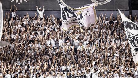 Santos possui a torcida mais jovem entre os clubes paulistas, segundo pesquisa