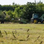 Está desempregado? Senac abre 15 vagas de trabalho em Belo Horizonte e outras cidades de Minas; veja 