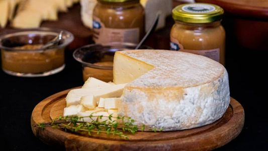 São considerados de “casca florida”, os queijos artesanais, produzidos com leite cru que visualmente têm fungos, popularmente conhecidos como ‘mofo branco’.