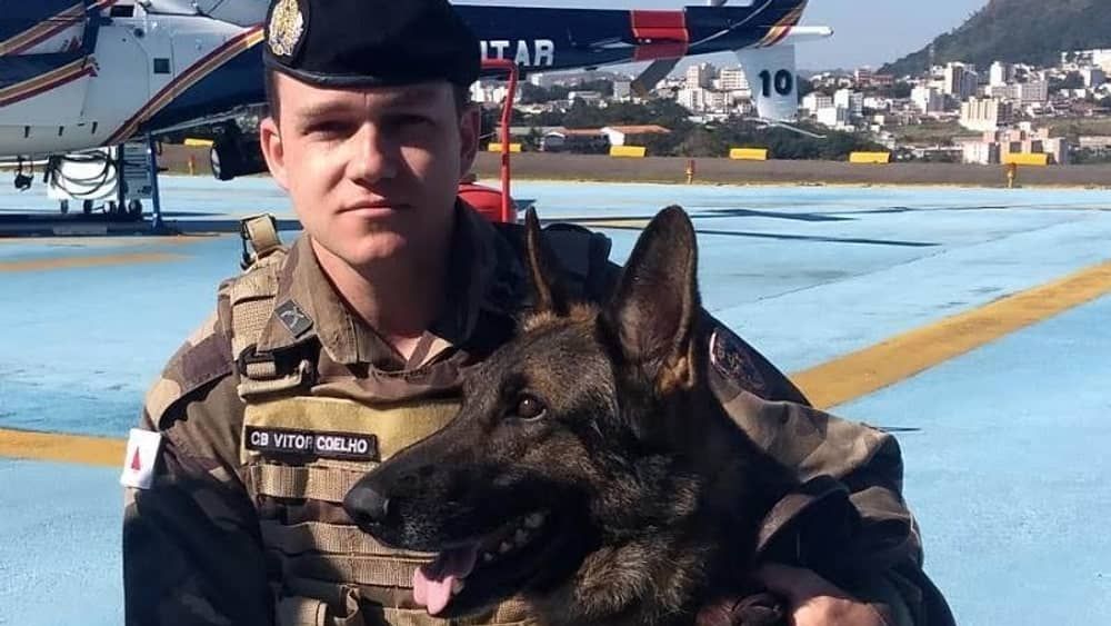 Cão aposentado da PM encontra droga em passeio e vídeo viraliza