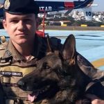 Cão aposentado da PM encontra droga em passeio e vídeo viraliza