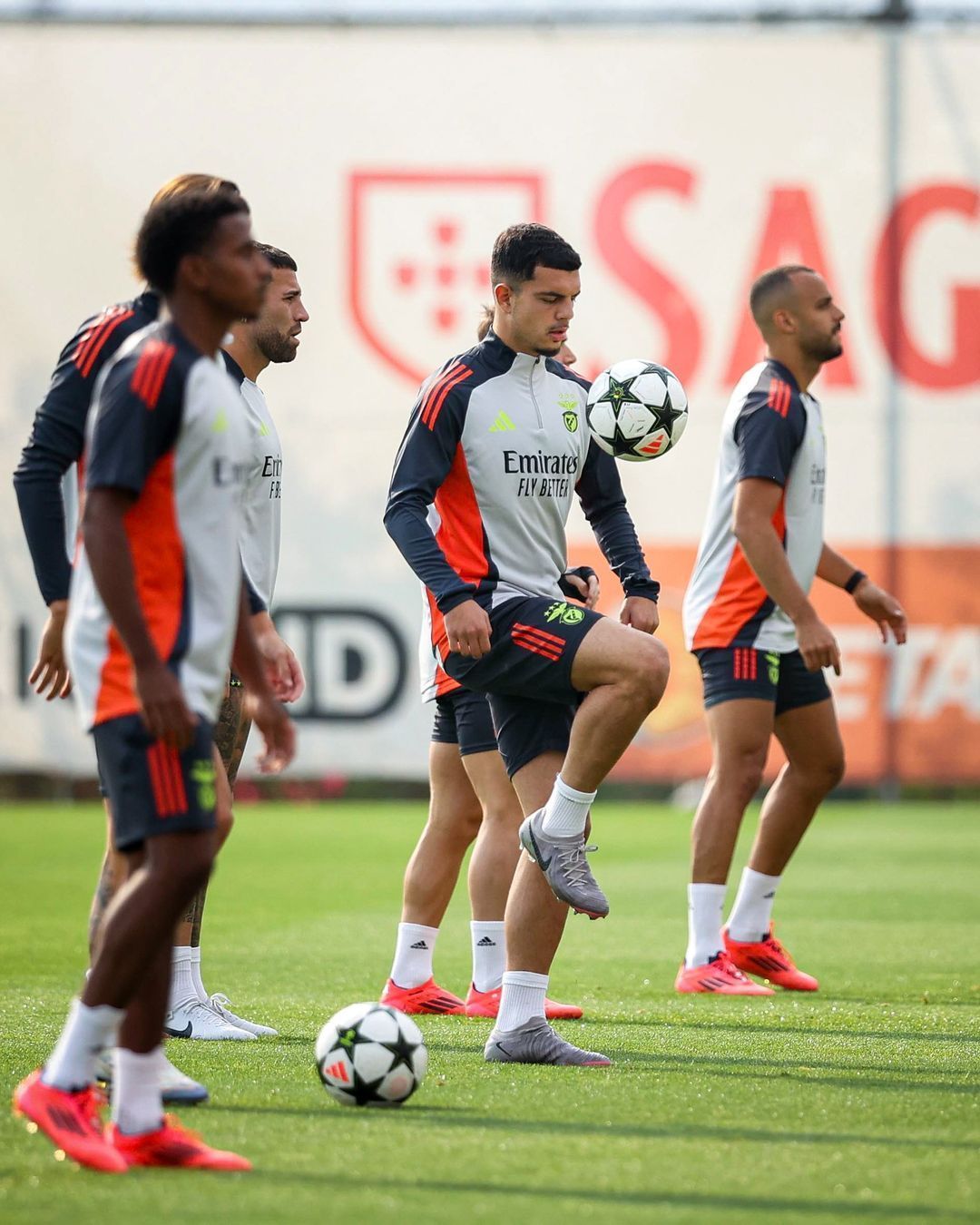 Estrela Vermelha x Benfica: horário e onde assistir ao vivo pela Champions League