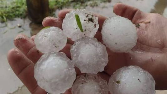 SC registra chuva de "bolas" de granizo; tempestade causa prejuízo a centenas de famílias no Sul.
