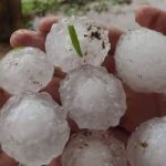 SC registra chuva de “bolas“ de granizo; tempestade causa prejuízo a centenas de famílias no Sul