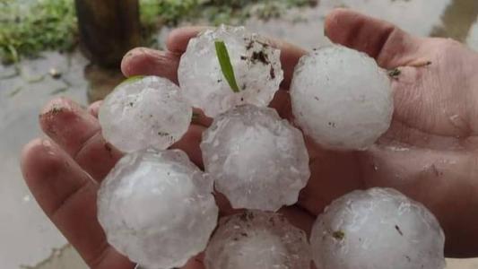 SC registra chuva de "bolas" de granizo; tempestade causa prejuízo a centenas de famílias no Sul.