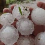 SC registra chuva de “bolas“ de granizo; tempestade causa prejuízo a centenas de famílias no Sul