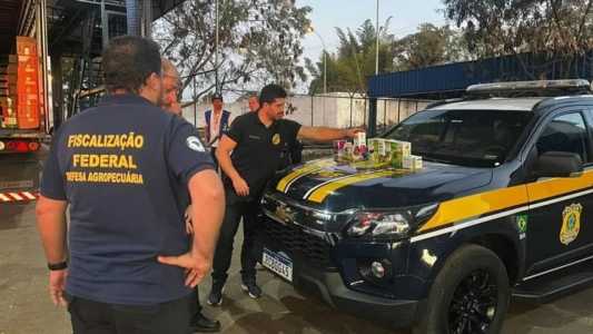 Os policiais encontraram diversos remédios sem nota fiscal