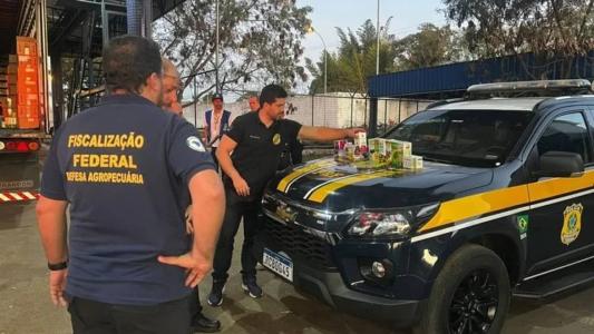 Os policiais encontraram diversos remédios sem nota fiscal