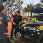 PRF apreende mais de 8 mil medicamentos sem registro na Anvisa