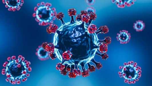 A Éris (ou EG.5) é uma subvariante da ômicron e já foi identificada em 51 países