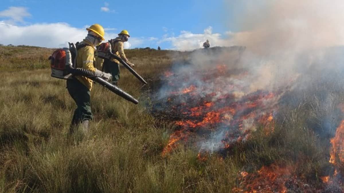 Onda de calor em Minas pode aumentar risco de incêndios florestais