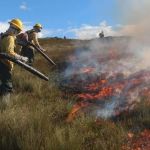 Onda de calor em Minas pode aumentar risco de incêndios florestais