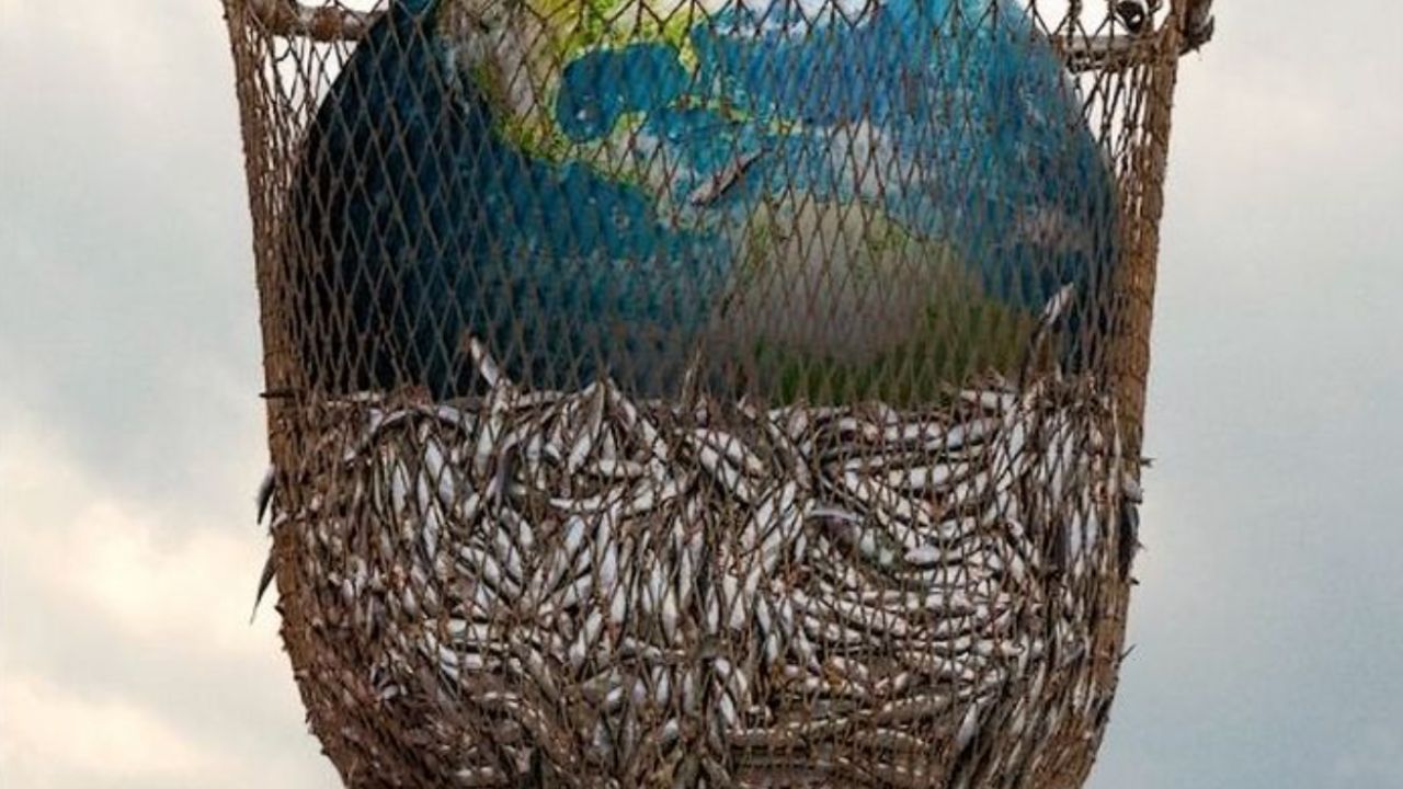 Seaspiracy e o impacto invisível do consumo de frutos do mar