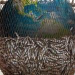 Seaspiracy e o impacto invisível do consumo de frutos do mar