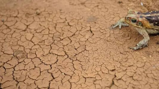 É o pior déficit hídrico desde o começo dos registros, há 74 anos, segundo dados oficiais