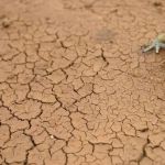 Uruguai: longa seca ameaça fornecimento de água potável no país