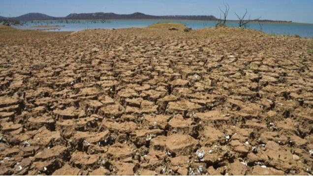 Agro da Bahia pede socorro!