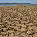 Agro da Bahia pede socorro!