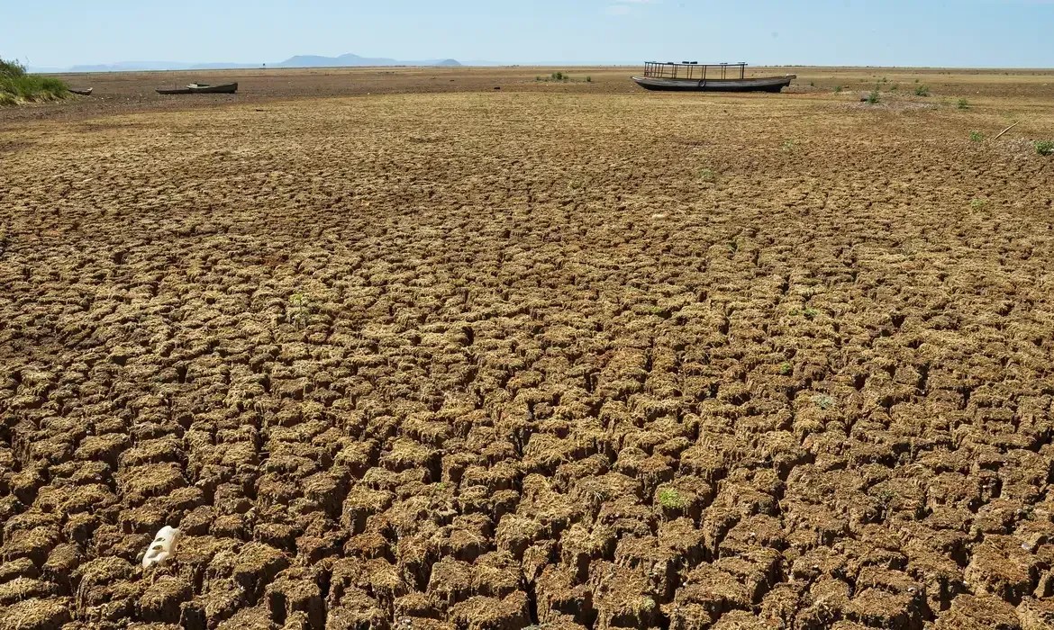Minas vai suspender a cobrança de ICMS a criadores de gado afetados pela seca