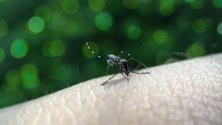 Secretária de Saúde de Mariana intensifica ações de combate a doença