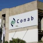 Conab divulga edital com 403 vagas para níveis superior e médio com salários de até R$ 8 mil