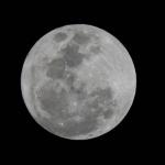 Eclipse Lunar: saiba quais regiões com a melhor visão e onde acompanhar o fenômeno