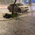 Belo Horizonte é a capital brasileira com maior volume de chuva em janeiro