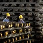 Gerdau aposta em sistemas de inteligência artificial para ampliar segurança e eficiência