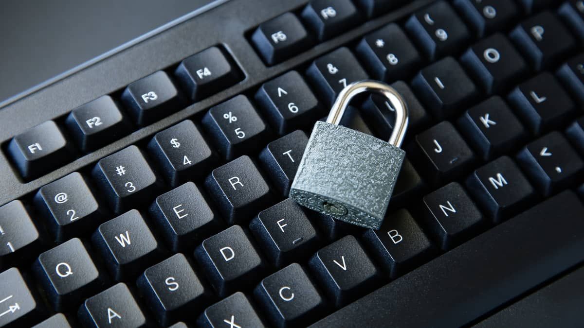 Dia da Internet Segura: veja como se proteger online