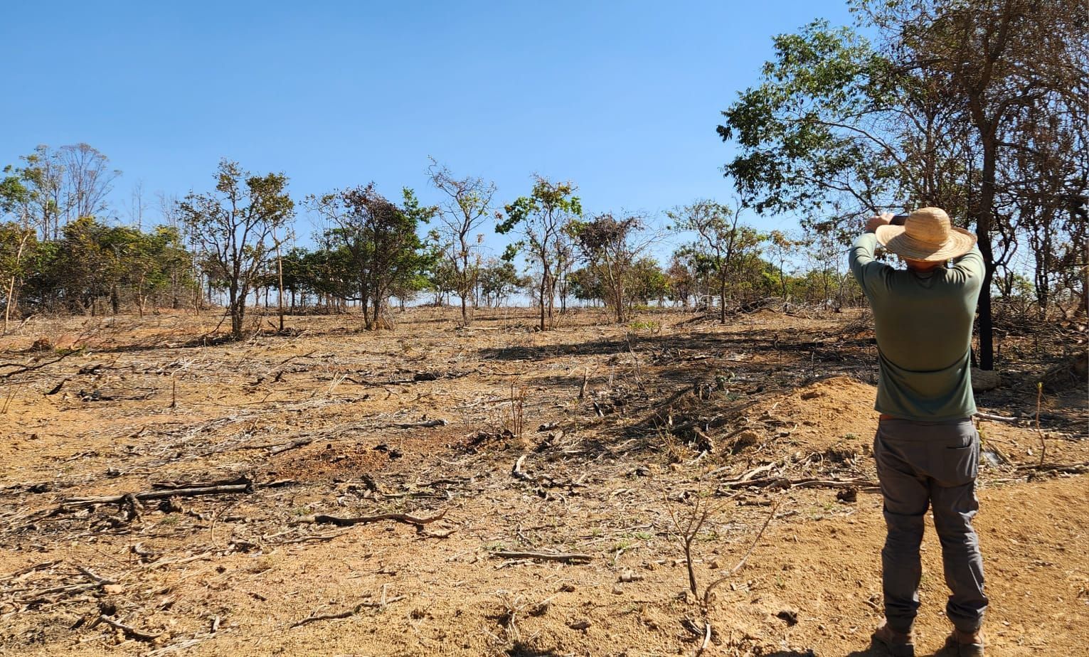 Seca: governo federal reconhece situação de emergência em 63 cidades de Minas por falta de chuva