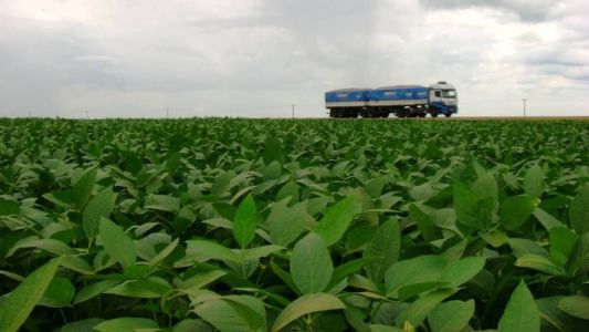 Senagri 2023: oportunidade para discutir os principais desafios e avanços da produtividade agrícola do país.