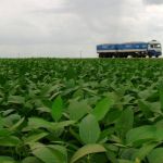 Profissionais de defesa agropecuária de todo o país se reúnem no Minascentro para o Senagri 2023