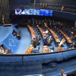 Senado articula instalação de CPI das ONGs nesta quarta-feira (14)