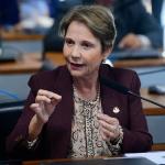 Flávio diz que Tereza Cristina aceitou convite para ser vice, mas definição depende do PP