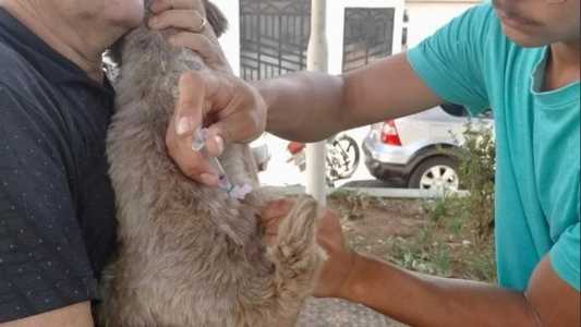 Serão 35 pontos de vacinação na cidade