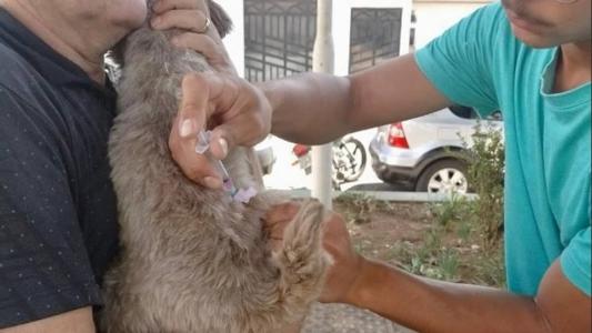 Serão 35 pontos de vacinação na cidade